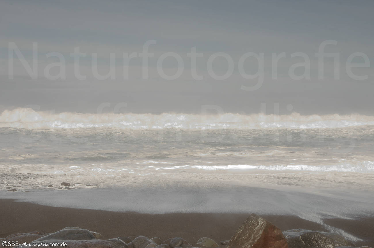 _IGP5589